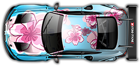 Blossom CB-900 car preview