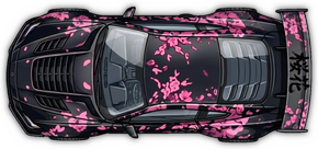 Hanami タイプ car preview