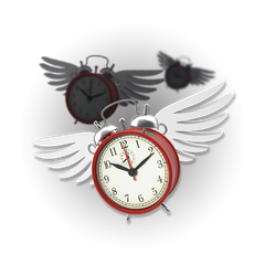 Time Flies preview