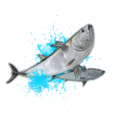 Fish preview