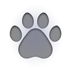 Kitty preview