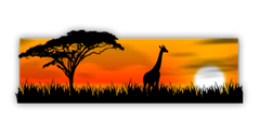 Sunset Silhouette preview