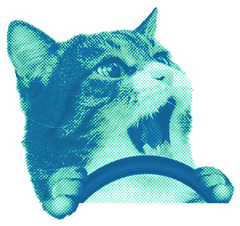 Speed Kitty preview