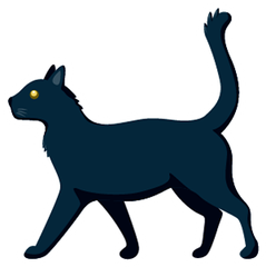 Black Cat preview