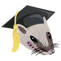 Grad Wampus preview