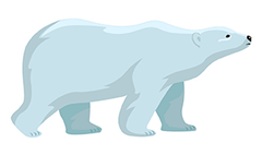Polar Bear preview