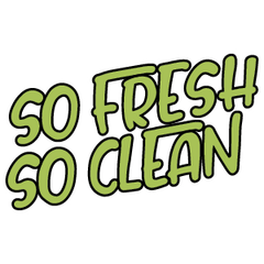 So Fresh, So Clean preview