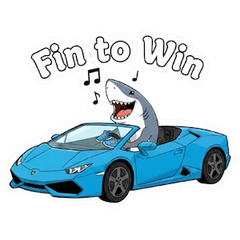 Fin to Win preview