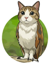Meowl preview