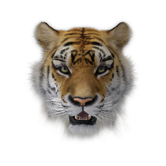 Prowling Pursuit preview